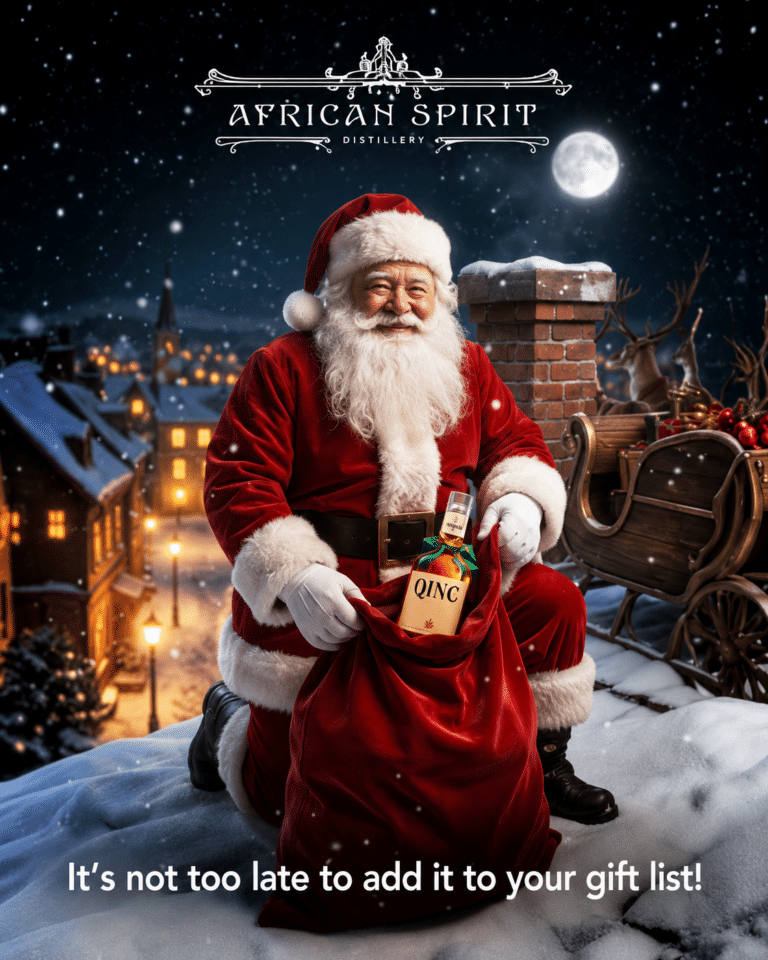 African Spirit festive campaign artwork showing Santa in a snowy scene